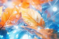 Orange and blue autumn leaves texture backgrounds sunlight outdoors.