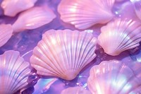 Shell purple texture backgrounds seashell clam.