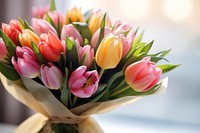 Beautiful bouquet of tulip flowers plant inflorescence arrangement.