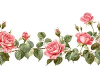 Rose line horizontal border pattern flower plant.