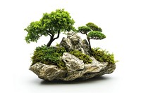 Trees bonsai plant rock. AI generated Image by rawpixel.