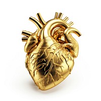 Heart gold jewelry white background.