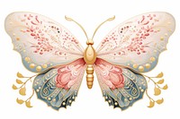 Chinese butterfly animal insect white background.