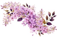 Chinese lilac blossom flower plant.