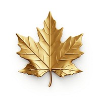 Maple leaf plant gold tree.