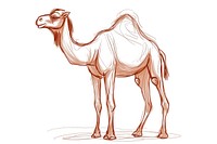 Hand-drawn sketch cartoon camel animal mammal creativity.
