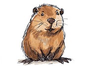 Hand-drawn sketch cute beaver mammal rodent animal.