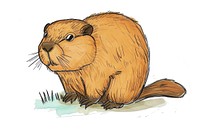 Hand-drawn sketch cute beaver animal rodent mammal.
