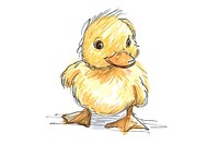 Hand-drawn sketch cute duck poultry animal bird.