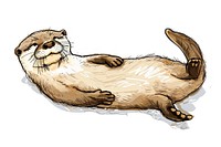 Hand-drawn sketch cute otter wildlife animal mammal.
