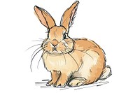 Hand-drawn sketch cute rabbit animal rodent mammal.
