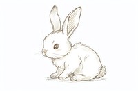 Hand-drawn sketch cute rabbit drawing animal mammal.