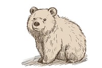 Hand-drawn sketch bear wildlife drawing mammal.