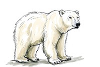 Hand-drawn sketch polar bear wildlife mammal animal.