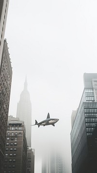  A giant shark in the air among the city architecture cityscape building. AI generated Image by rawpixel.