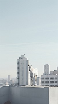  A white horse at the rooftop with city background architecture livestock cityscape. AI generated Image by rawpixel.