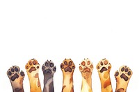 Dog paws adult white background copy space.