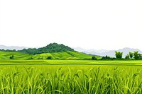 Hilly rice paddy agriculture landscape grassland.