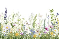Tall grass and wildflowers backgrounds grassland outdoors.