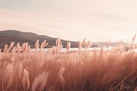  Pampas landscape outdoors nature. AI generated Image by rawpixel.
