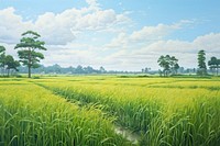  Rice field landscape outdoors nature. 