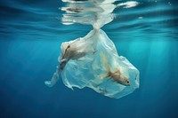Fish struck in plastic bag in the sea underwater pollution unhygienic. AI generated Image by rawpixel.