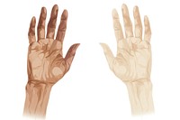Vector illustration human hands with disserent skin colours finger gesturing clothing.