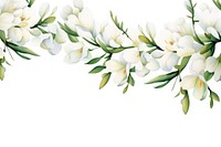 Minimal white freesia flowers border blossom plant springtime.