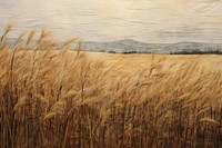 Field wheat landscape outdoors.