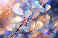 Pattern bokeh effect background nature backgrounds abstract.