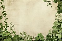 Clover herbs backgrounds outdoors.