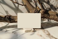 Business card on white marble wood branch plant.