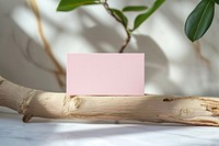 Business card on white marble wood plant table.