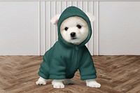 Dog's hoodie psd