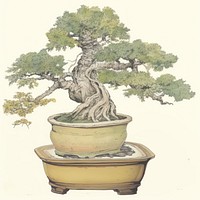 Illustration the 1970s of bonsai plant tree creativity.