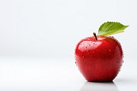 Healthy apple fruit plant.