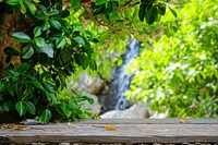 Waterfall background outdoors nature forest.