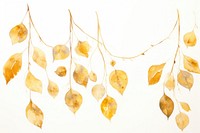 Gold leaf hanging plant backgrounds.