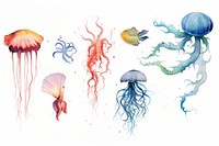 Marine life jellyfish animal invertebrate.