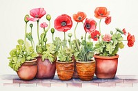 Poppy pots painting flower nature.