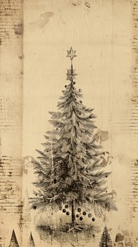 Wallpaper ephemera pale Christmastree christmas plant fir.