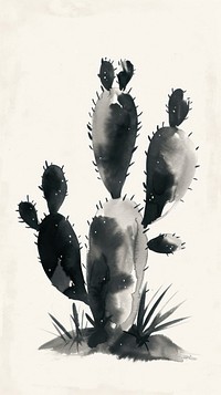 Cactus drawing sketch plant.