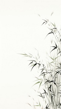 Backgrounds bamboo plant branch.