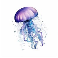 Galaxy element of jellyfish in Water color style white background invertebrate translucent.