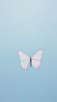 Minimal butterfly animal insect flying.