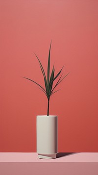 Minimal plant vase houseplant flowerpot.