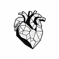 Human heart drawing line white background.