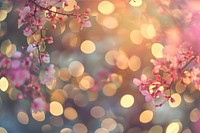 Nature pattern bokeh effect background nature backgrounds outdoors.