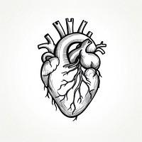 Human heart drawing sketch line.