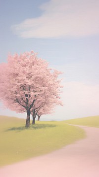 Aesthetic Cherry blossom trees landscape wallpaper outdoors nature flower.